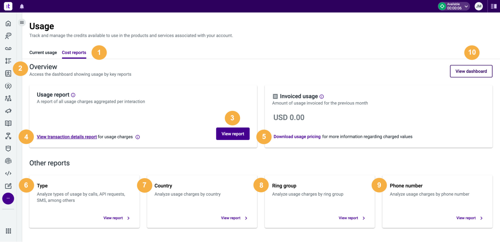 Usage Cost report tab.png